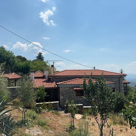 Terra Petra Villa At Psari Trikolonon Gortynia Ψάρι Εξωτερικό φωτογραφία
