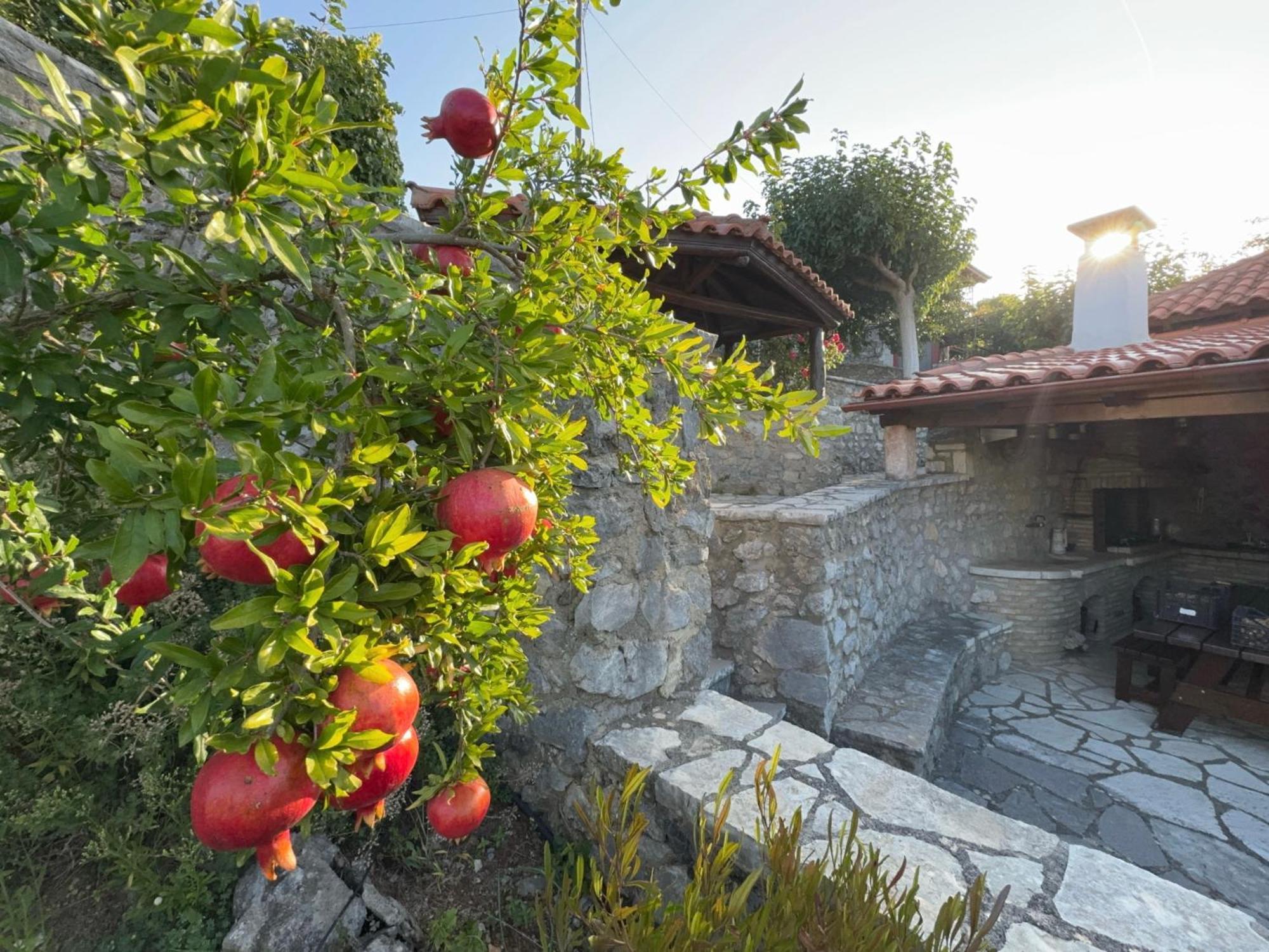 Terra Petra Villa At Psari Trikolonon Gortynia Ψάρι Εξωτερικό φωτογραφία